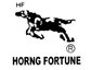 HORNG FORTUNE MOTO